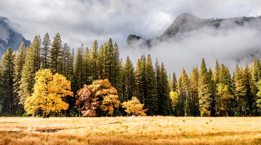 Yosemite-Sequoia National Park-In-Depth Hiking Tour