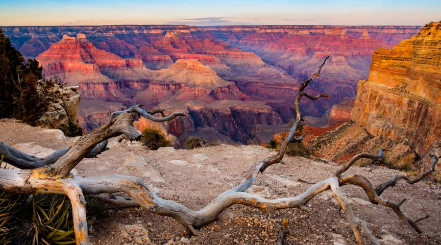 Yellowstone Las Vegas 8 Days Tour