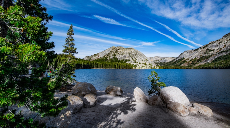 Yellowstone - Mt. Rushmore-Antelope Canyon Bus - San Francisco, Splendid Tours 13 Days tour